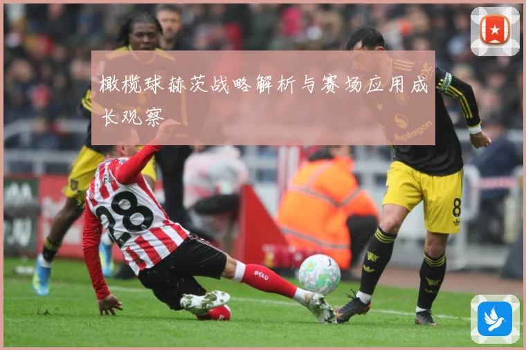 橄榄球赫茨战略解析与赛场应用成长观察
