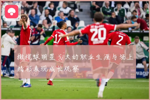 橄榄球明星戈夫的职业生涯与场上精彩表现成长观察