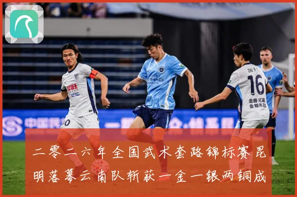 二零二六年全国武术套路锦标赛昆明落幕云南队斩获一金一银两铜成长观察