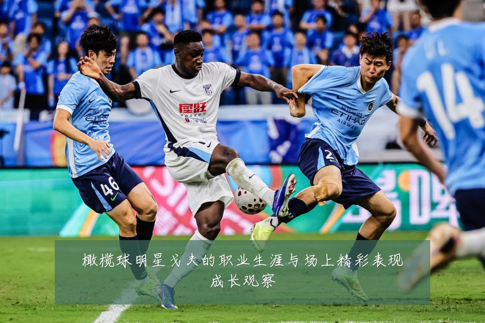 橄榄球明星戈夫的职业生涯与场上精彩表现成长观察